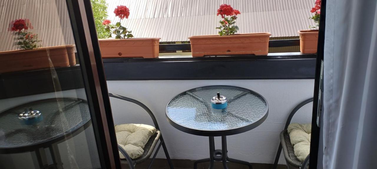 Bed & Breakfast Popamuseum Tarpesti Strada Muzeului Nr 28 Tîrpeşti Exteriör bild